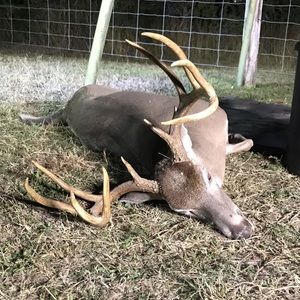 Meet your Posher, Grant